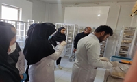 کارگاه عملی کار با حیوانات