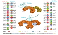 Design of a multi-epitope vaccine against intestinal parasites associated with colorectal cancer using immunoinformatics approaches