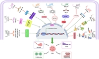Emerging roles of pseudogene-derived lncRNAs in cancer stem cells: Non-coding clues and therapeutic targets in cancer medicine