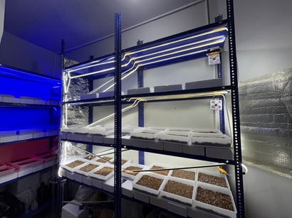 همکاری با مرکز گیاهان دارویی در راه اندازی آزمایشگاه کشت بافت گیاهی